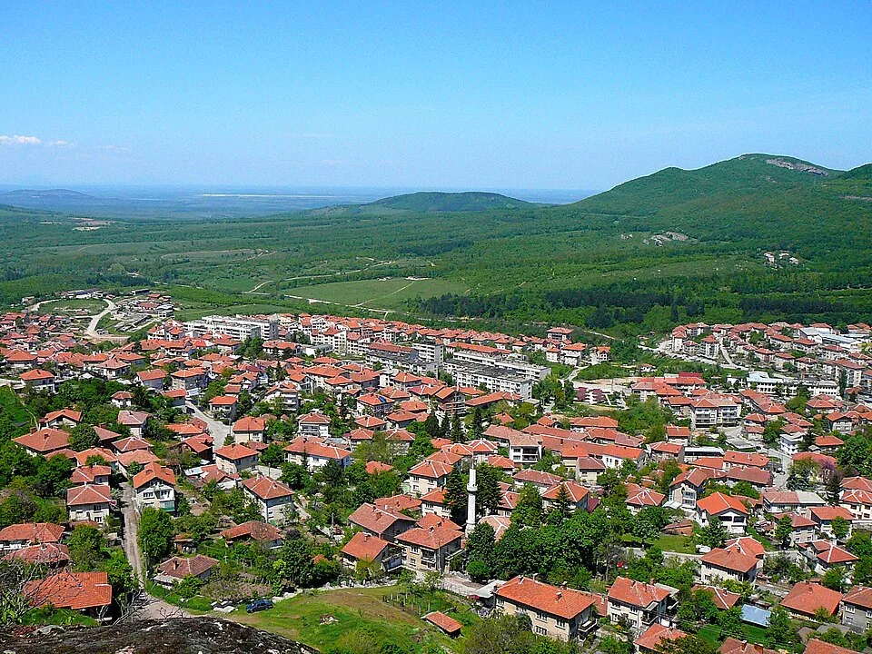 Болногледач Белоградчик