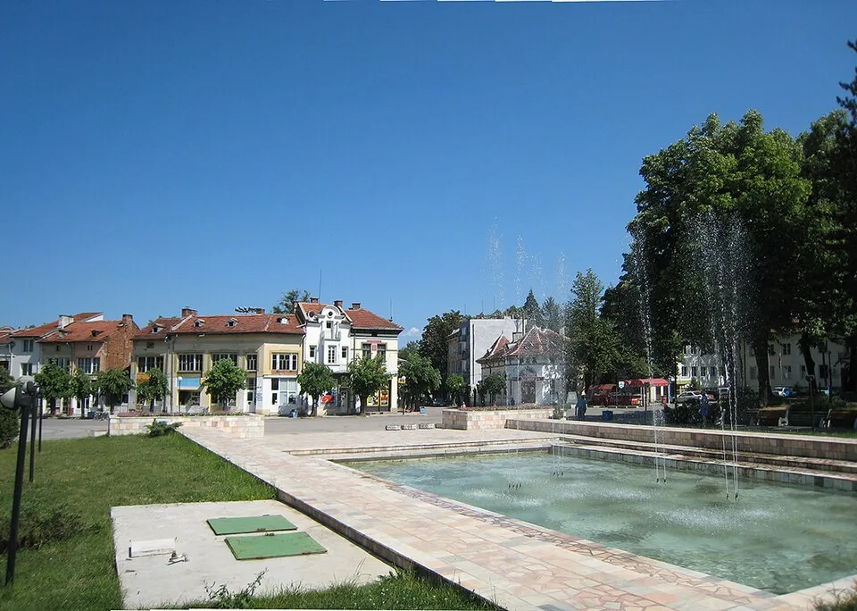 Болногледач Берковица