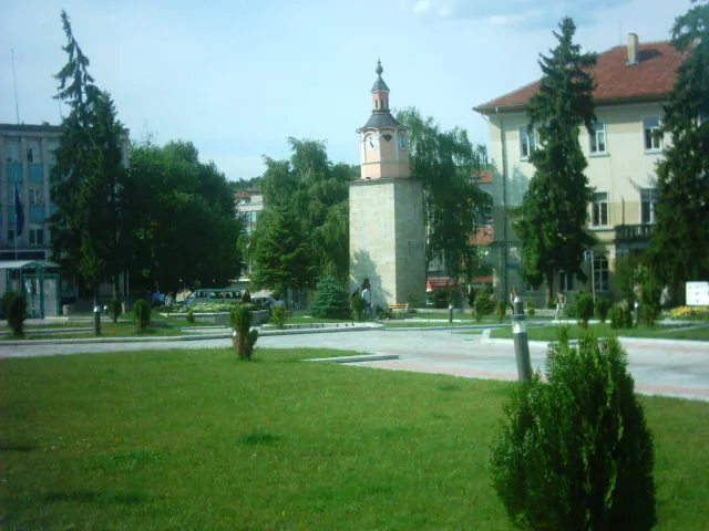 Домашна помощница Бяла