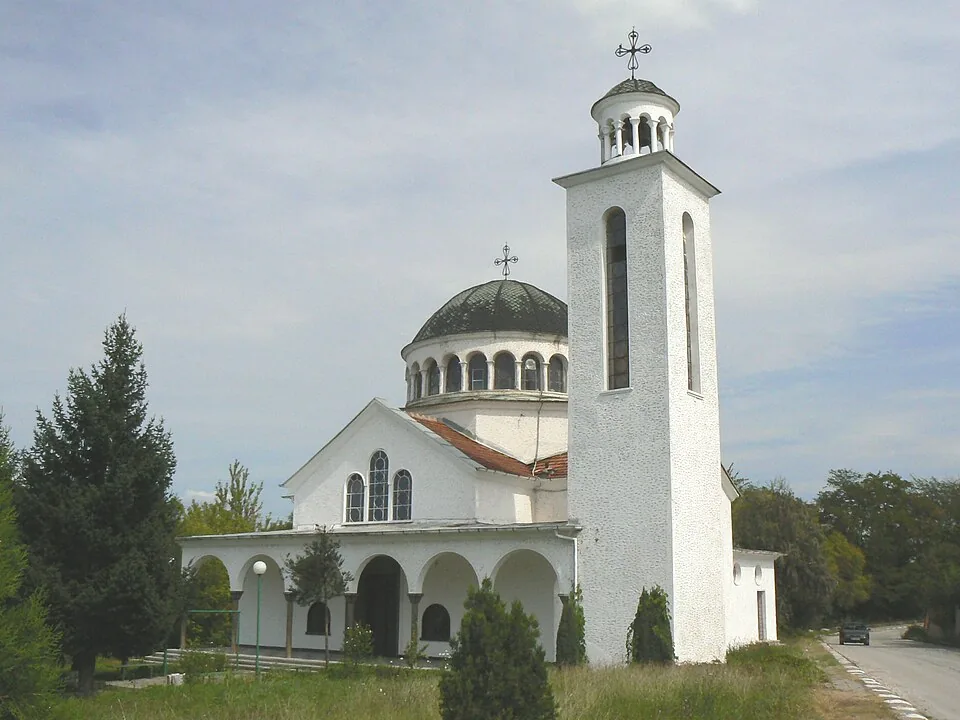 Домашна помощница Долни Дъбник