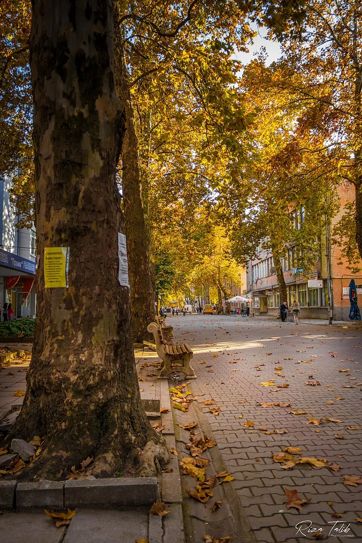 Болногледач Дулово