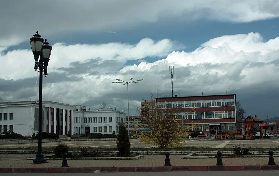 Болногледач Костинброд