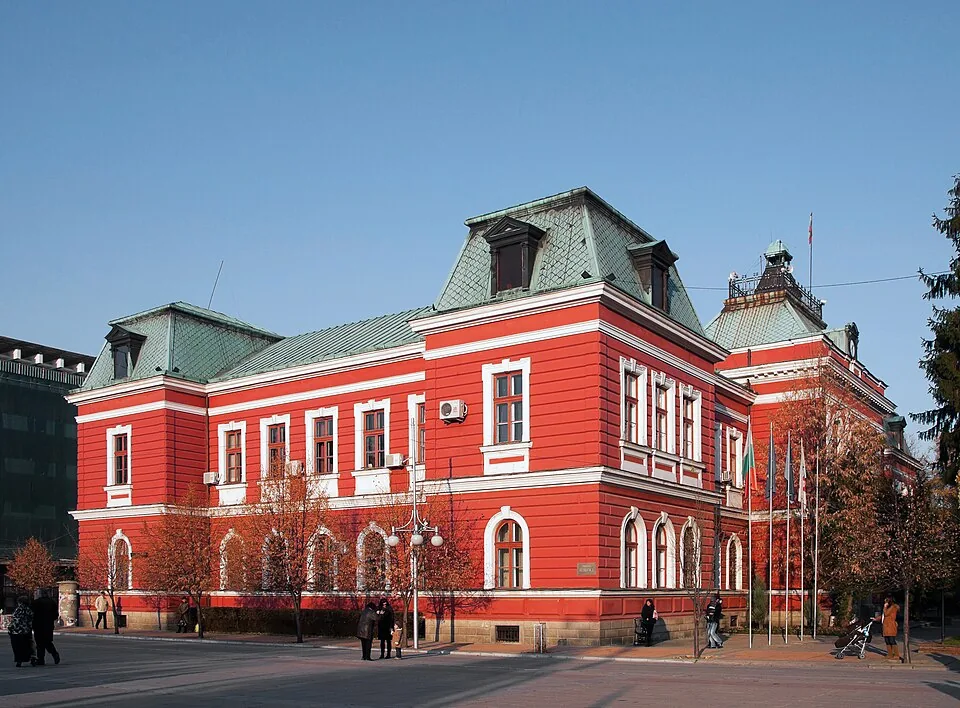 Болногледач Кюстендил