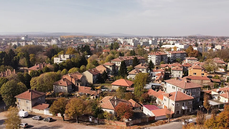 Болногледач Павликени