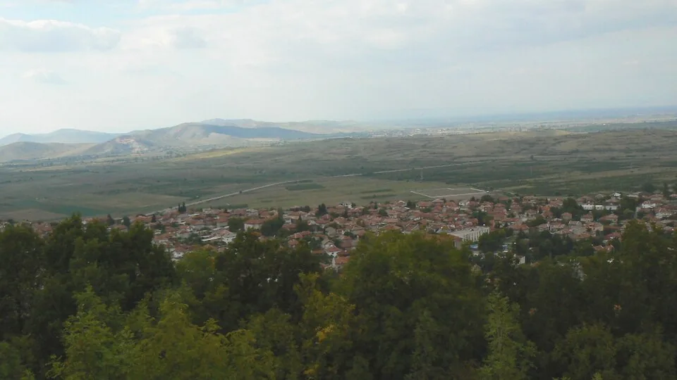 Болногледач Перущица