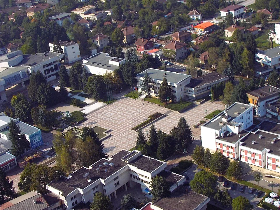 Болногледач Правец