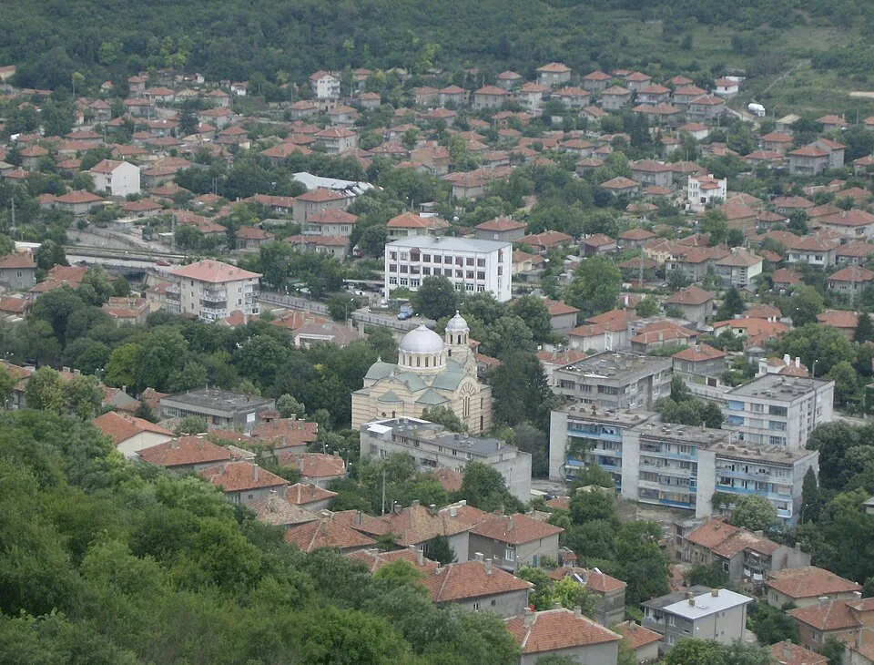 Болногледач Провадия