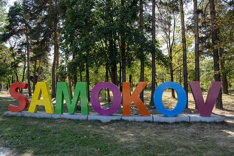 Болногледач Самоков