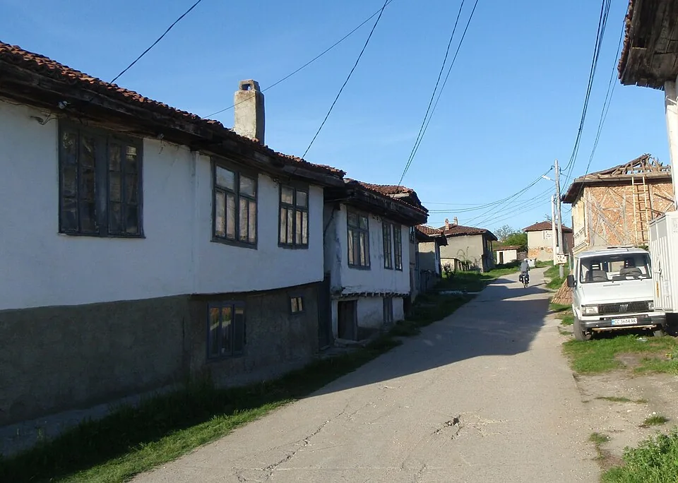 Домашна помощница Тутракан