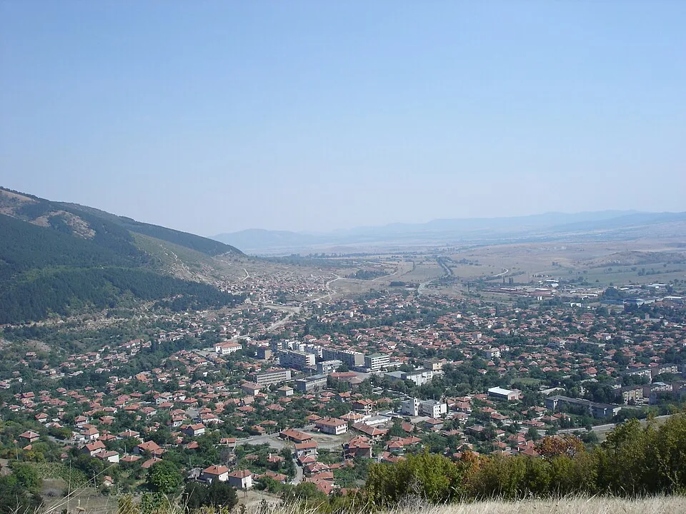 Болногледач Твърдица